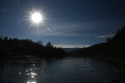 DSC_0279 (Large).JPG